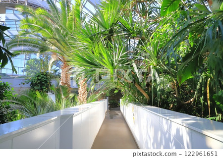 Itabashi Tropical Environmental Botanical Museum 2nd floor "Cloud Forest" 122961651