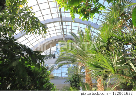 Itabashi Tropical Environmental Botanical Museum 2nd floor "Cloud Forest" 122961652