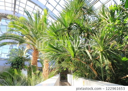 Itabashi Tropical Environmental Botanical Museum 2nd floor "Cloud Forest" Itabashi Tropical Environmental Botanical Museum 2nd floor "Cloud Forest" 122961653