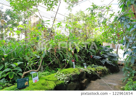 板橋區熱帶環境植物園2樓“雲霧森林” 122961654