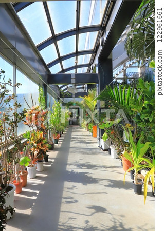 Itabashi Tropical Environmental Botanical Museum 2nd floor "Cloud Forest" 122961661