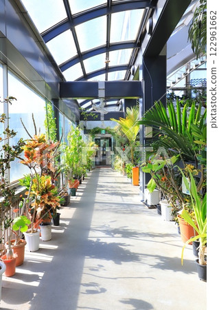 Itabashi Tropical Environmental Botanical Museum 2nd floor "Cloud Forest" 122961662