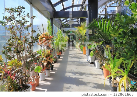 Itabashi Tropical Environmental Botanical Museum 2nd floor "Cloud Forest" Itabashi Tropical Environmental Botanical Museum 2nd floor "Cloud Forest" 122961663