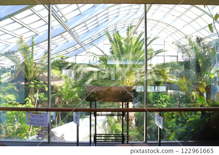Itabashi Tropical Environmental Botanical Museum 2nd floor "Cloud Forest" 122961665