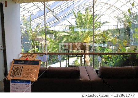 Itabashi Tropical Environmental Botanical Museum 2nd floor "Cloud Forest" 122961777