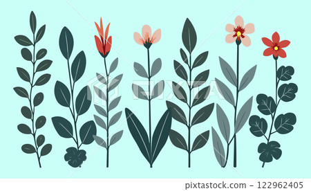 Botanical Illustration of Flowers and Leaves 122962405