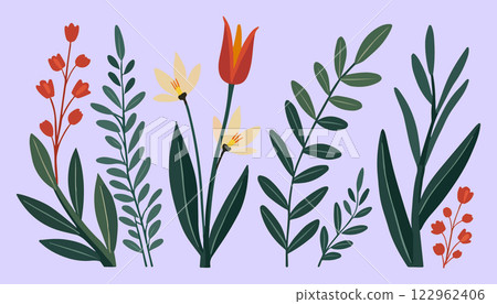 Botanical Illustration of Flowers and Leaves 122962406