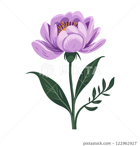 Purple Flower Illustration 122962927