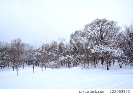 winter park winter park 122963500