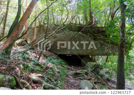 The rock that served as the model for Moro's Cave in Princess Mononoke in Shiratani Unsuikyo Gorge on Yakushima Island 122963727