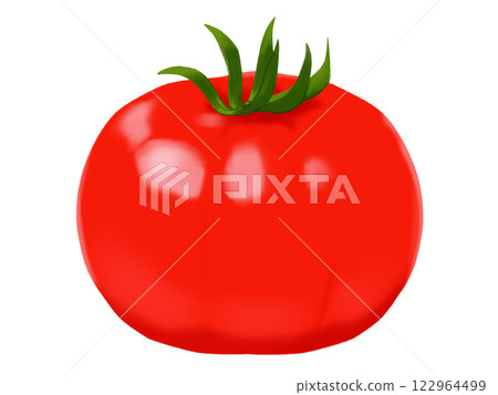 番茄 夏季蔬菜 122964499