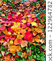 Colorful fallen leaves Colorful fallen leaves 122964782