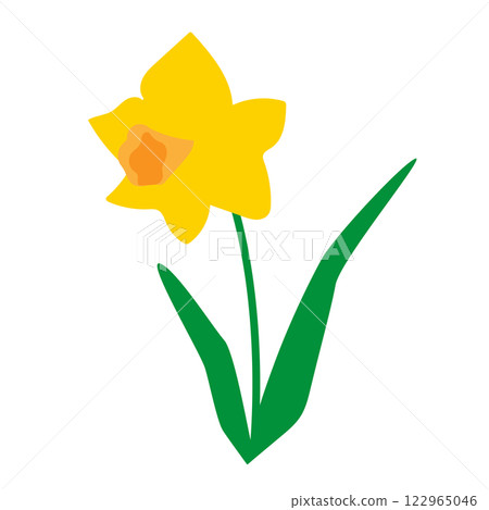 Vector illustration of yellow daffodil flower Vector illustration of yellow daffodil flower 122965046