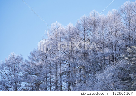 Frost on the countryside (Hiruzen Plateau) 122965167