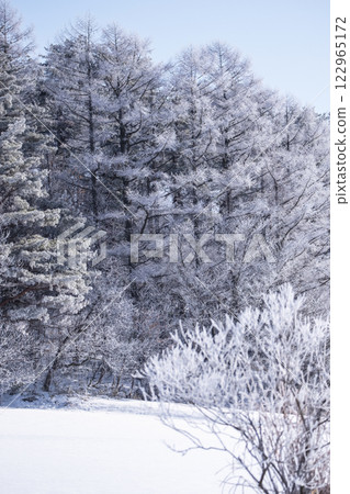 Frost on the countryside (Hiruzen Plateau) Frost on the countryside (Hiruzen Plateau) 122965172