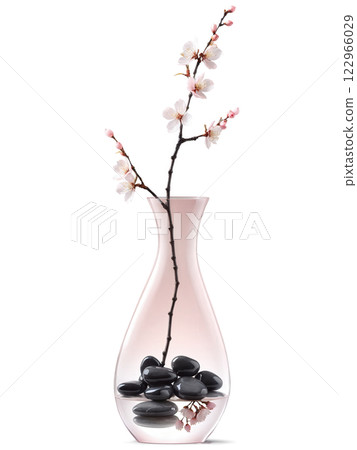 Cherries (Prunus) elongated oval glass vase with clear water and smooth black stones at the bottom, holding a branch 122966029