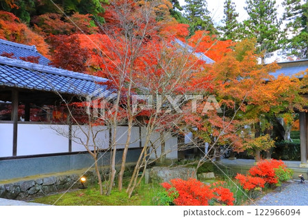 秋天的永源寺(東近江市) 秋天的永源寺(東近江市) 122966094