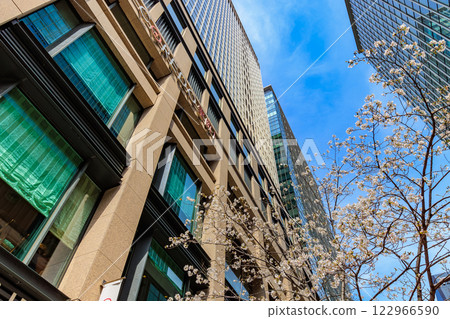 Tokyo Chuo Ward Nihonbashi Muromachi cityscape Coredo Muromachi and cherry blossoms in full bloom 122966590