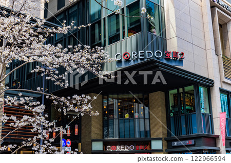 Tokyo Chuo Ward Nihonbashi Muromachi cityscape Coredo Muromachi and cherry blossoms in full bloom 122966594