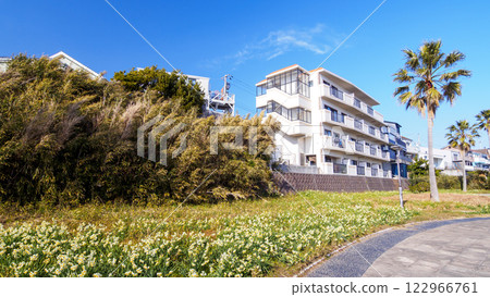 Kitashimoura Daffodil Road 122966761