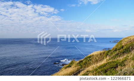 Winter in Jogashima, the southernmost island of Kanagawa Prefecture 122966871