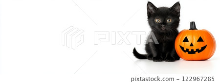 A cute black kitten sitting next to a carved pumpkin jack-o'-lantern, creating a playful Halloween scene 122967285