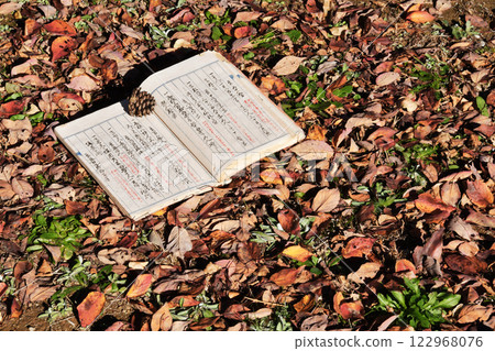 Ancient documents and dead leaves 02 Ancient documents and dead leaves 02 122968076