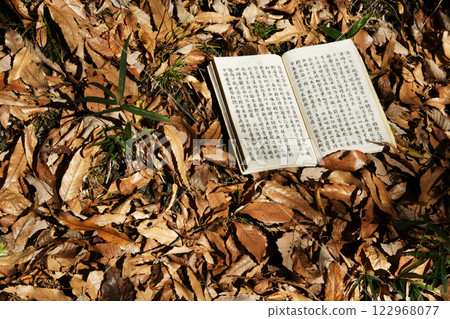 Ancient Documents and Dead Leaves 04 122968077
