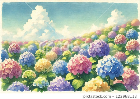 hydrangea   122968118