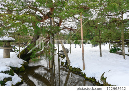 Kenrokuen, Winter Scene, Supporting the Pine Trees 122968612