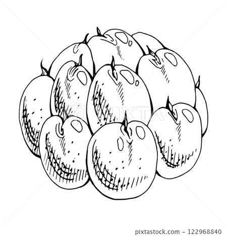 Cloudberry raspberry sloe fruit hand drawn vector ink, forest berry dewberry mulberry loganberry boysenberry. Botanical isolated element illustration. Restaurant, cafe menu, wedding, farmers market Cloudberry raspberry sloe fruit hand drawn vector ink, forest berry dewberry mulberry loganberry boysenberry. Botanical isolated element illustration. Restaurant, cafe menu, wedding, farmers market 122968840