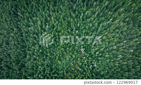 Aerial view of beautiful high altitude forest  mountain landscape 122969017