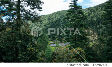 Beautiful high altitude forest mountain landscape Beautiful high altitude forest mountain landscape 122969019