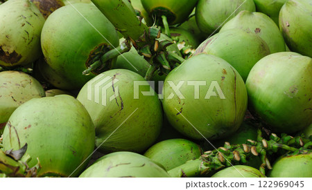 Fresh coconut fruits for sale 122969045