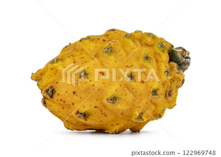 Dragon fruit on white background Dragon fruit on white background 122969748