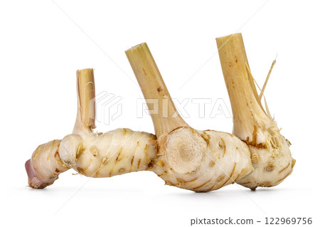 Ginger root on white background 122969756