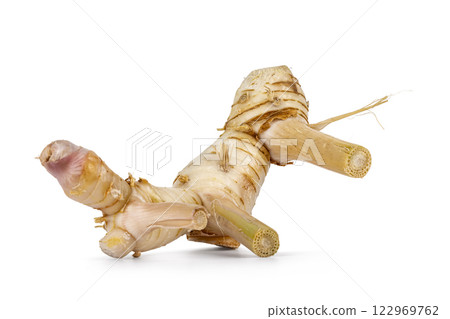 Fresh ginger root on white background Fresh ginger root on white background 122969762