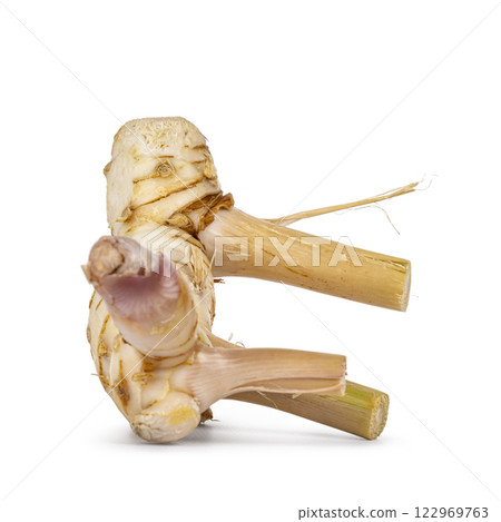 Fresh ginger root on white background Fresh ginger root on white background 122969763