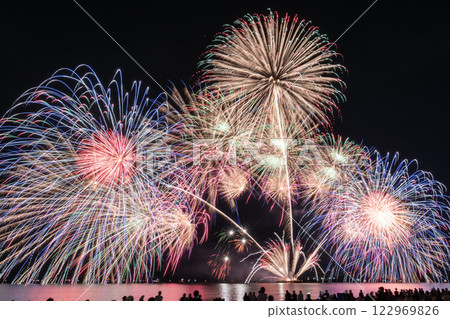 大型煙花在夜空中盛開 大型煙花在夜空中盛開 122969826