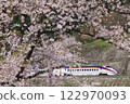 Yamagata Shinkansen and Sakura 122970093