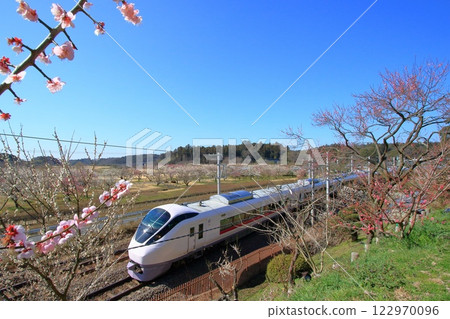 Joban Line and the plum blossoms of Kairakuen 122970096
