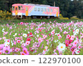 Hojo Railway and Cosmos 122970100