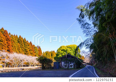 (Station road scenery) Ohata Station (Anime Holy Land: Natsume's Book of Friends) (Hitoyoshi City) JR Hisatsu Line Ohata Station 122970231
