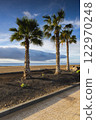 Palm trees on the promenade in Purto del Carmen, Lanzarote 122970248