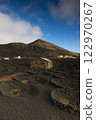 La Geria wine region in the heart of Lanzarote 122970267