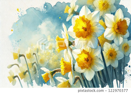 Daffodil flowers and blue sky 122970377