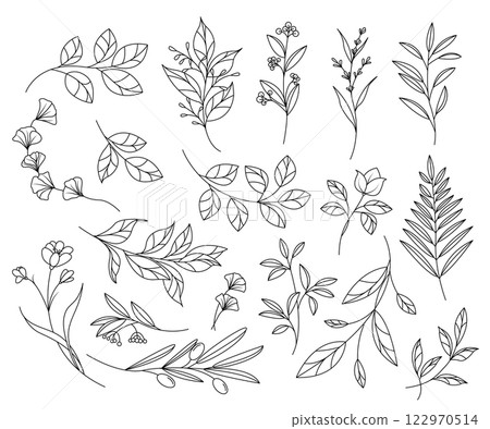 Hand-drawn botanical elements 122970514