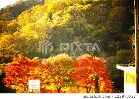 丹澤山被紅葉染紅 丹澤山被紅葉染紅 122970558