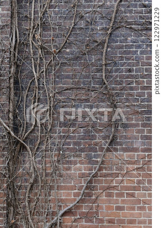 Maizuru red brick park 122971229