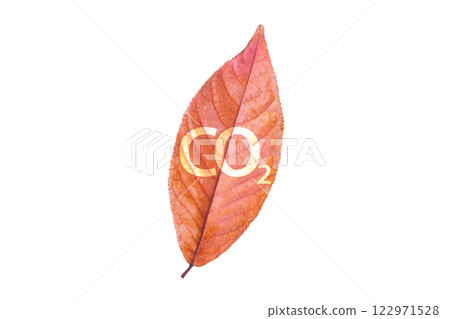 Red leaf with co2 symbol isolated on white background Red leaf with co2 symbol isolated on white background 122971528